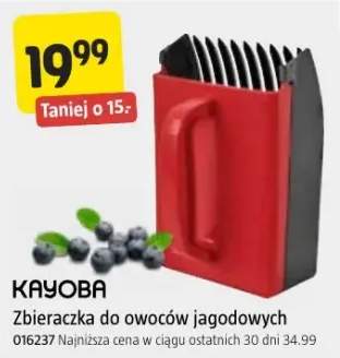 zbieraczka do owoców jagodowych