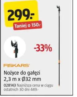 nożyce do gałęzi