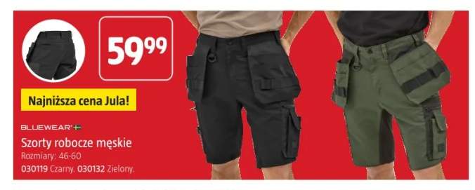 Szorty robocze męskie Bluewear zielone +1 wariant