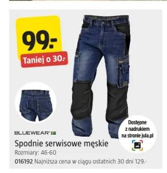 Spodnie serwisowe męskie Bluewear
