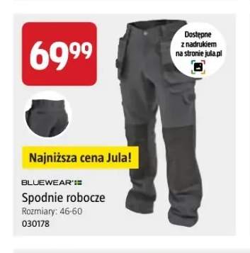 Spodnie robocze Bluewear