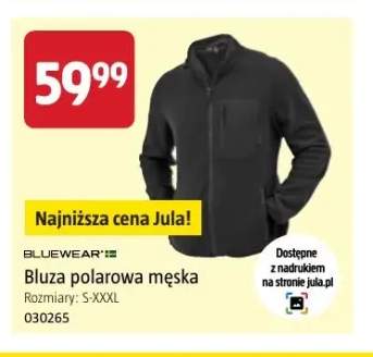 Bluza polarowa męska Bluewear